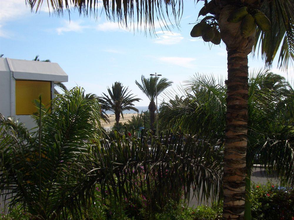 Alsol Nogal- Adults Only Leilighet Playa del Inglés Eksteriør bilde