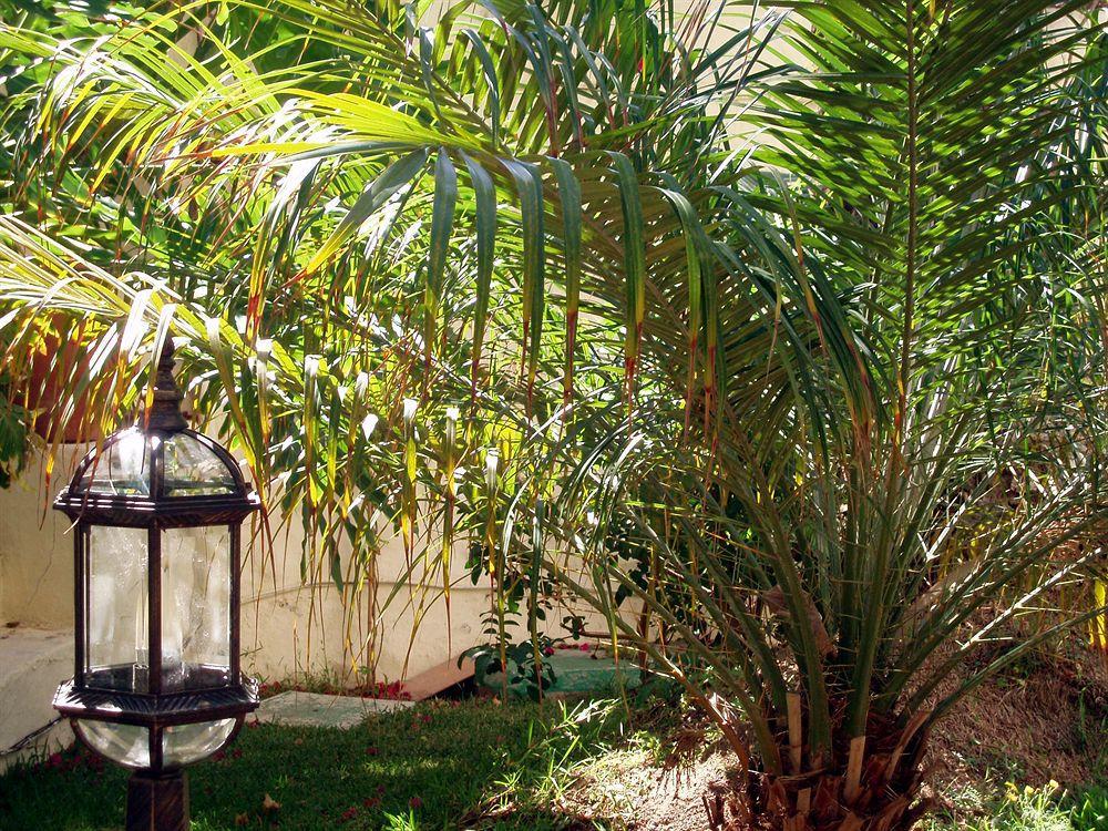 Alsol Nogal- Adults Only Leilighet Playa del Inglés Eksteriør bilde